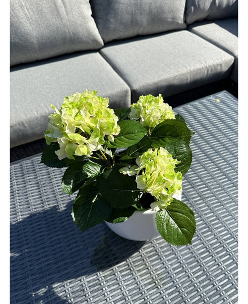 La planta Hortensia Artificial Verde UV de 35 cm con flores de color verde claro se encuentra sobre una mesa de exterior de mimbre gris, frente a un sofá gris con cojines. La luz del sol ilumina la planta artificial y proyecta sombras sobre la mesa.