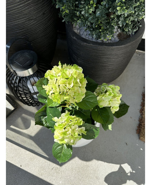 La planta Hortensia Artificial Verde UV de 35 cm con flores de color verde claro se encuentra en un patio soleado junto a una linterna negra y una gran maceta con hojas de colores, que proyecta sombras brillantes sobre el suelo de hormigón.