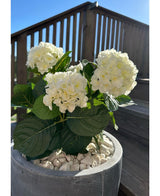 La planta Hortensia Artificial Blanca UV de 35 cm, con flores blancas y hojas verdes, se alza sobre guijarros blancos en un día soleado, con barandillas de madera para el patio y una escalera al fondo.