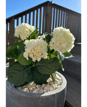 La planta Hortensia Artificial Blanca UV de 35 cm, con flores blancas y hojas verdes, se alza sobre guijarros blancos en un día soleado, con barandillas de madera para el patio y una escalera al fondo.