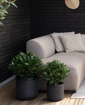 Dos plantas en macetas de Laurel artificial UV d40 cm se encuentran sobre un suelo de madera junto a un sofá gris claro con cojines a juego contra una pared de madera negra en un acogedor entorno al aire libre.