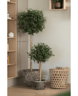 Dos olivos artificiales UV de 150 cm en una maceta con follaje verde redondo se encuentran junto a una cesta tejida y un estante de madera en un interior moderno y luminoso.