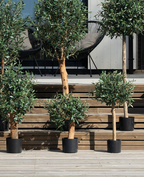 Varios olivos artificiales UV de 60 cm se encuentran en macetas sobre escalones de madera en el exterior, que conducen a una terraza con dos sillas negras y un cojín contra una pared clara.