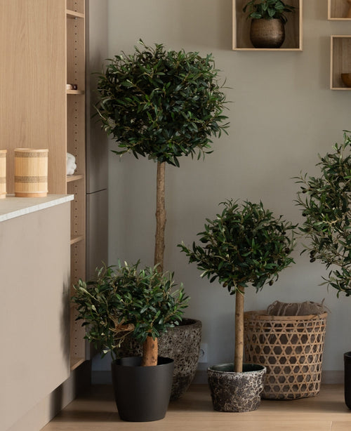 Una planta de olivo artificial Artificial Olive Mount UV de 60 cm con una parte superior redonda y frondosa añade vegetación sin mantenimiento a una habitación moderna y minimalista, colocada cerca de estantes de madera y cestas de mimbre.