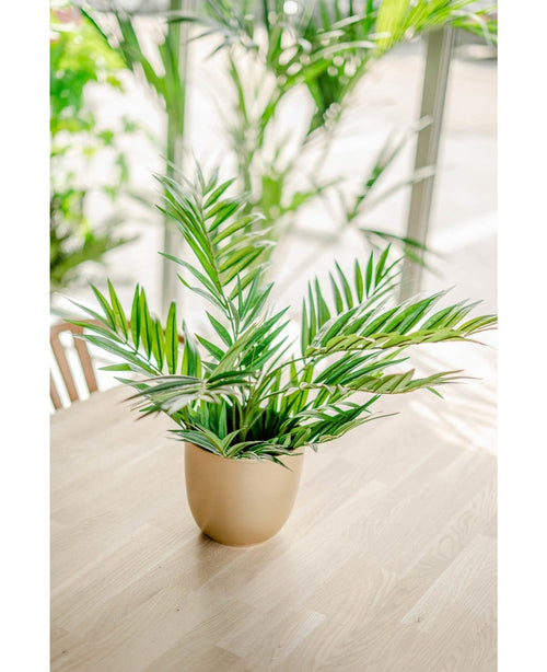 Sobre una mesa de madera clara se encuentra un salón de palmeras artificiales UV de 60 cm, la luz del sol entra a través de los grandes ventanales, mientras que otras plantas artificiales aparecen en el fondo suavemente vagas.