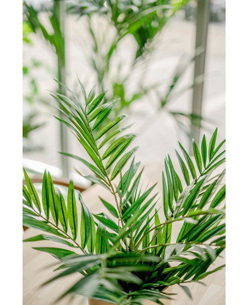Un primer plano de la Palmera Artificial UV de 60 cm en el interior muestra las hojas verdes vibrantes y brillantes iluminadas por la luz natural de los grandes ventanales, creando una atmósfera fresca y animada.