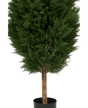 La Planta Artificial Conífera UV 180cm es un árbol artificial verde en maceta con densas hojas de color verde oscuro y tronco marrón, presentado en una sencilla maceta negra sobre fondo blanco.