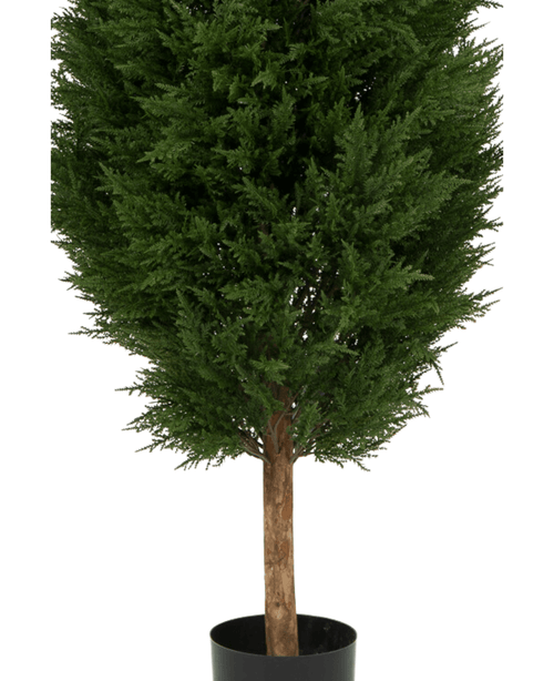 La Planta Artificial Conífera UV 180cm es un árbol artificial verde en maceta con densas hojas de color verde oscuro y tronco marrón, presentado en una sencilla maceta negra sobre fondo blanco.