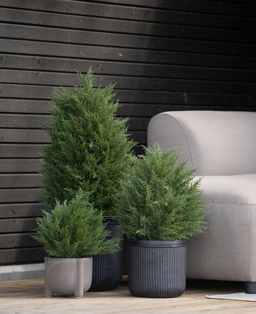 Tres arbustos artificiales de conífera de lujo UV de 60 cm de plantas artificiales se encuentran sobre una plataforma de madera cerca de un banco exterior de color gris claro y una pared de madera oscura, perfectos para crear un jardín verde con plantas artificiales de bajo mantenimiento en el exterior.