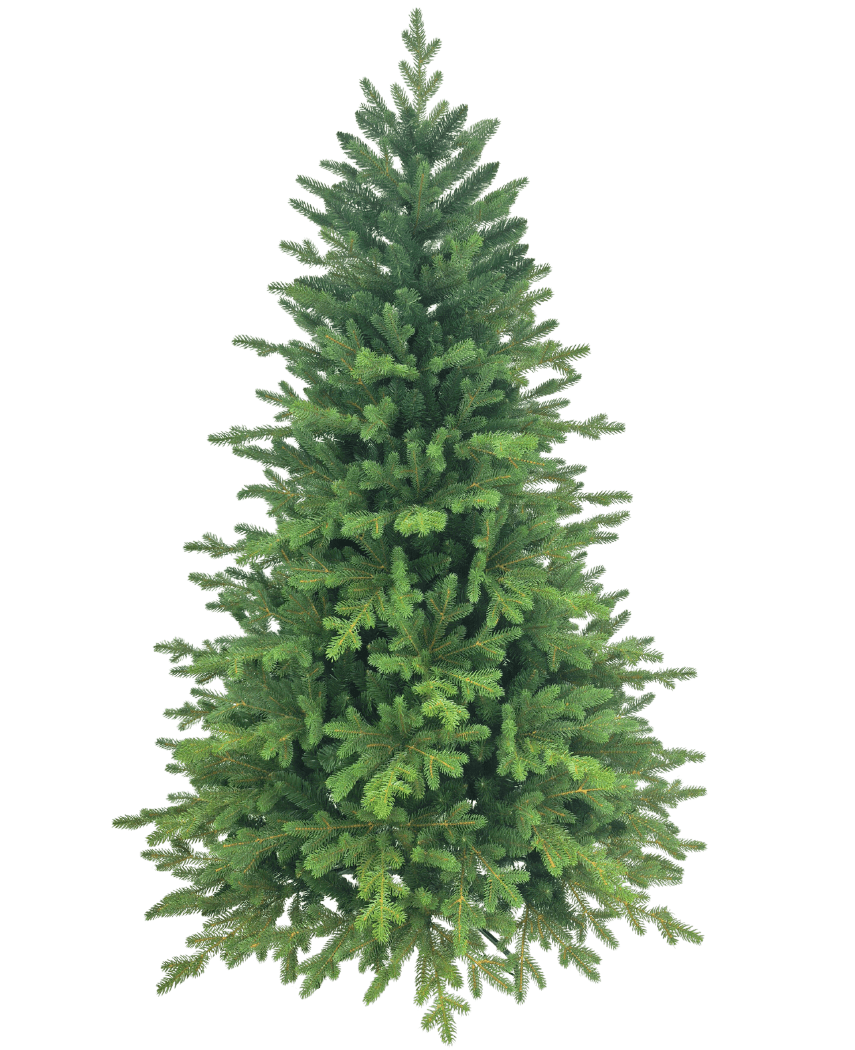 El Árbol de Navidad Artificial "Ibsen" PE/PVC es lleno y verde con ramas densas sobre un fondo blanco liso, listo para sus decoraciones navideñas favoritas.