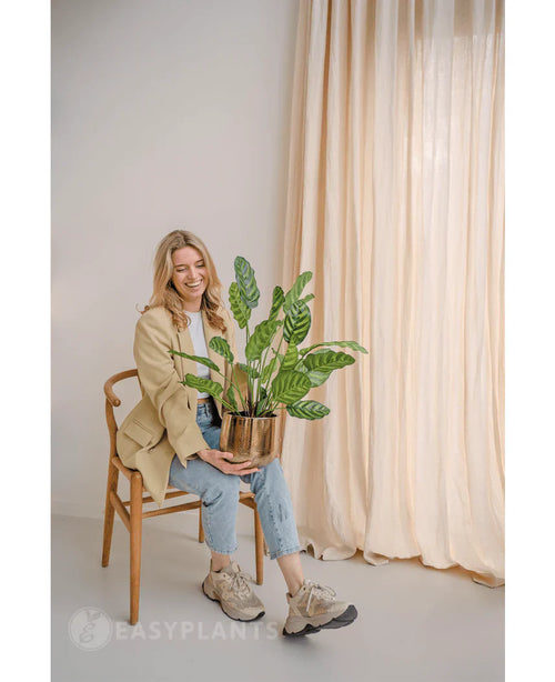 Una mujer sonriente sentada en una silla de madera con la Planta Artificial Calathea Makoyana de 60 cm en una maceta de diseño. Lleva una chaqueta beige, vaqueros claros y zapatillas de deporte. Las cortinas claras del fondo realzan el aspecto minimalista y luminoso de la habitación.