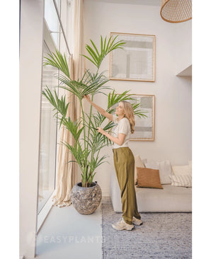 En un luminoso salón, una mujer se encuentra junto a la Palmera Kentia Artificial de 220 cm, mientras toca suavemente las hojas. El interior tropical cuenta con un sofá luminoso con cojines, obras de arte en las paredes enmarcadas y grandes ventanales que dejan entrar la luz natural.