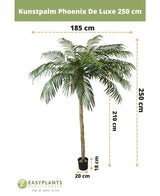 Kunstpalm Phoenix De Luxe 250 cm: Kunstmatige palmboom met lange gevederde bladeren in een zwarte pot. Hoogte: 250 cm, stam: 210 cm, bladspanne: 185 cm, potmaat: 18x20 cm (H x Ø). Tekst en afmetingen zijn overlappend.