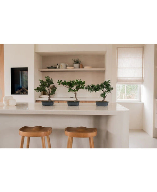 Tres plantas artificiales de enebro bonsái de 40 cm en macetas negras se encuentran sobre una isla de cocina blanca, con taburetes de madera y estantes abiertos con vajilla y plantas detrás. Una ventana con pantalla beige llena la habitación de luz natural.