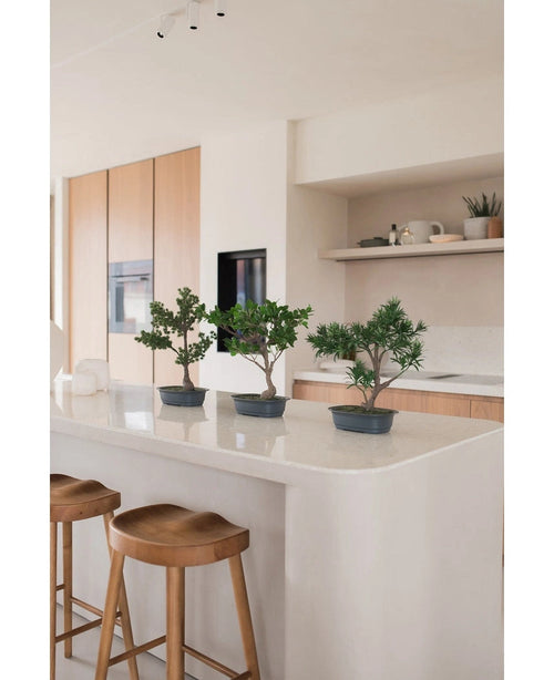 Tres plantas artificiales de Bonsái Podocarpus de 40 cm en macetas se encuentran sobre una isla de cocina blanca con dos taburetes de madera debajo. La moderna cocina tiene gabinetes de madera clara y estanterías abiertas con plantas y decoración.