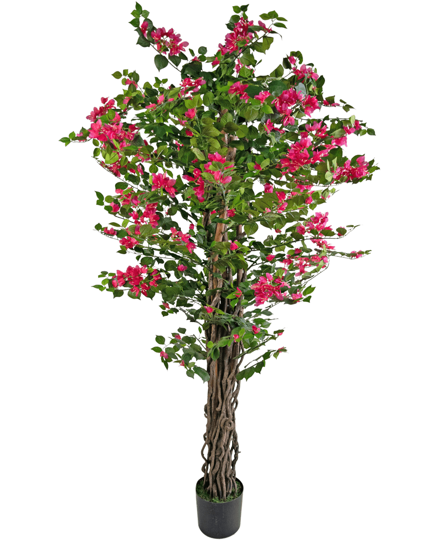La buganvilla artificial de 180 cm es una planta artificial alta con tallos retorcidos de color marrón, hojas de un verde vibrante y ramos de flores de color rosa brillante en una maceta.
