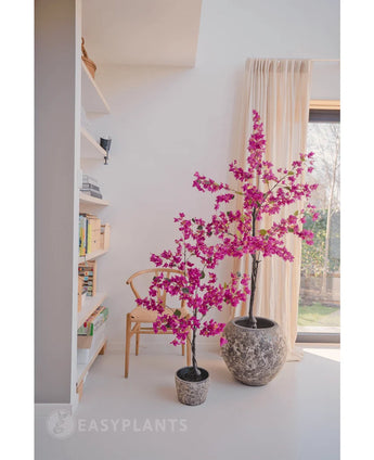 Twee Kunstplant Bougainvillea 180 cm Paars met levendige paarse bloemen in steenachtige potten staan in een lichte, moderne woonkamer bij een houten stoel, boekenplanken en een groot raam met crèmekleurige gordijnen.