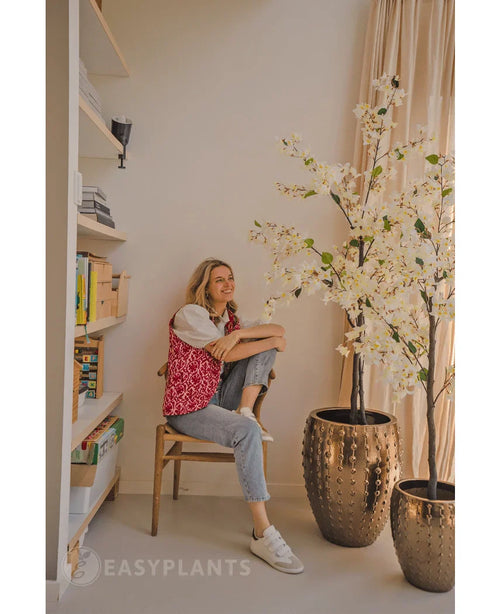Una persona sentada sonriendo en una silla de madera junto a la Buganvilla Artificial 180 cm blanca en una maceta dorada con textura. A la izquierda hay una estantería con libros y decoración; La luz del día entra a raudales por una ventana a la derecha.