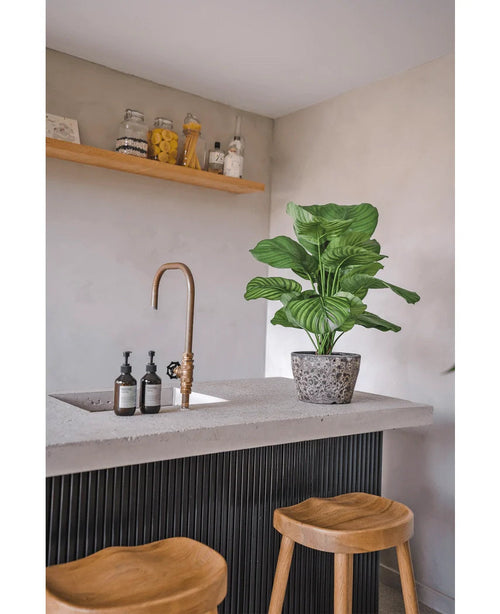 Un rincón de cocina moderno con encimera de hormigón, grifo dorado, planta Artificial Calathea UV de 72 cm, dos taburetes de madera, dispensadores de jabón y un estante de madera con macetas y recipientes contra una pared de color claro.