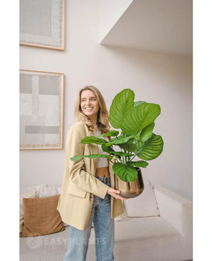 Een glimlachende vrouw in een beige blazer en spijkerbroek staat in een moderne woonkamer en houdt de Kunstplant Calathea Fasciata UV 53 cm in pot vast. Achter haar staan een beige bank met kussens en abstracte muurkunst.
