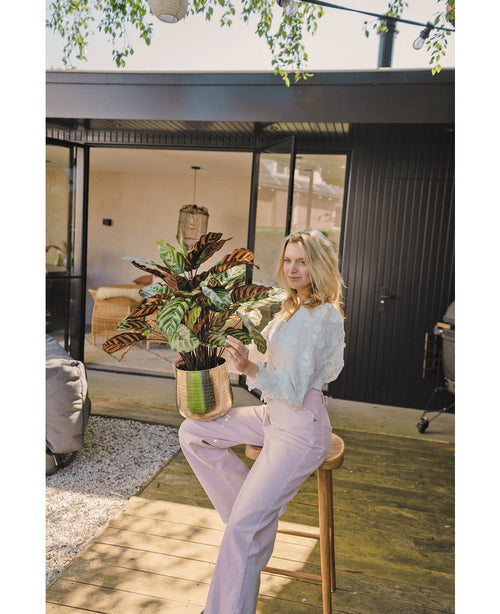 Una mujer rubia con una blusa blanca y pantalones de color violeta claro se sienta afuera en un taburete con la planta en maceta roja artificial Calathea Makoyana UV de 75 cm, en una terraza de madera frente a una casa moderna con puertas de vidrio.