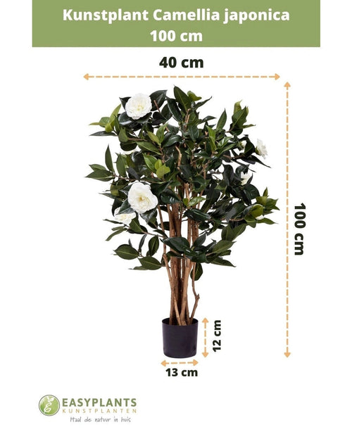 Planta artificial Camellia japonica de 100 cm de alto y 40 cm de ancho, suministrada en maceta negra de 13x12 cm. La rosa japonesa tiene hojas verdes y flores artificiales blancas, representadas con dimensiones.