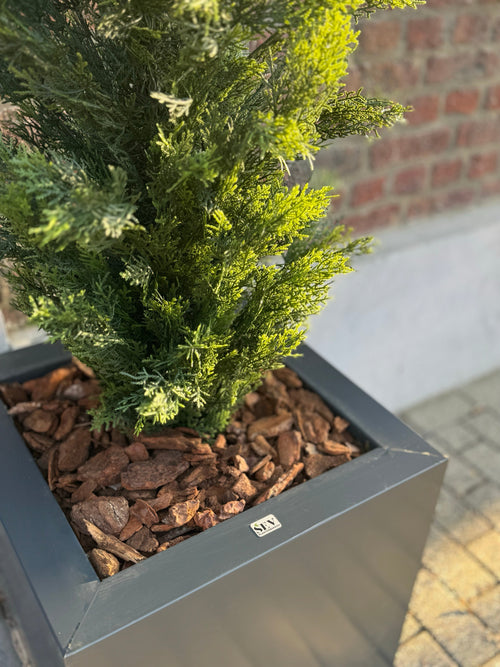 Un primer plano de la Planta Artificial Conífera UV 120 cm, una conífera verde realista en una moderna maceta cuadrada gris con astillas de corteza marrón, expuesta contra una pared de ladrillos y un suelo de baldosas.