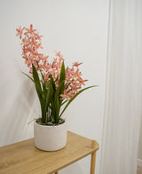 La planta artificial Cymbidium de 58 cm de color rosa, con hojas altas de color verde y flores rosadas que parecen orquídeas, se encuentra sobre una mesa de madera clara, contra una pared blanca y una cortina blanca.