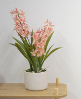 La planta artificial Cymbidium rosa de 58 cm, una planta verde con hojas largas y tallos largos con flores de color rosa claro en una maceta de cerámica blanca, se encuentra sobre una mesa de madera clara contra una pared blanca lisa.