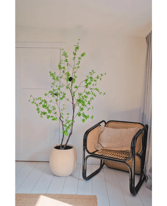 La planta artificial Enkianthus de 180 cm con hojas verdes se encuentra junto a una silla de ratán negro con un cojín marrón en una habitación luminosa y minimalista con paredes y suelo blancos, suavemente iluminada por la luz que entra desde la derecha.