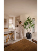 Una mujer con ropa neutra se encuentra en una cocina moderna y minimalista y toca las hojas de la planta Ficus artificial de 210 cm. La luz del sol enfatiza las líneas limpias y los tonos tierra de la habitación.