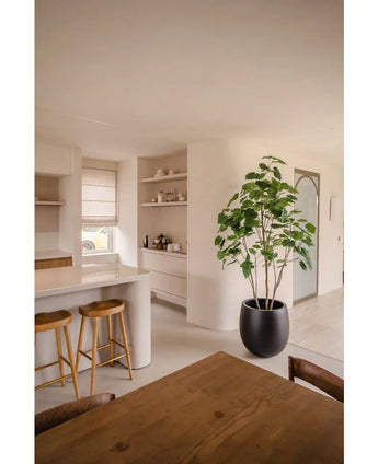 Una cocina moderna con paredes claras, taburetes de madera sobre la encimera, estantes abiertos con vajilla, una planta Ficus artificial de 210 cm que aporta verdor y una mesa de comedor de madera con sillas. El espacio es luminoso con luz natural.