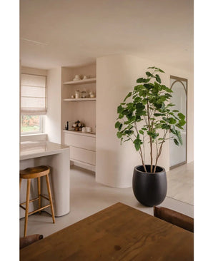 Una cocina y comedor moderna y minimalista en tonos neutros tiene estantes abiertos, una isla curva con un taburete de madera, un juego de comedor de madera y la planta artificial Ficus 210 cm como elegante maceta. La luz natural ilumina la habitación.