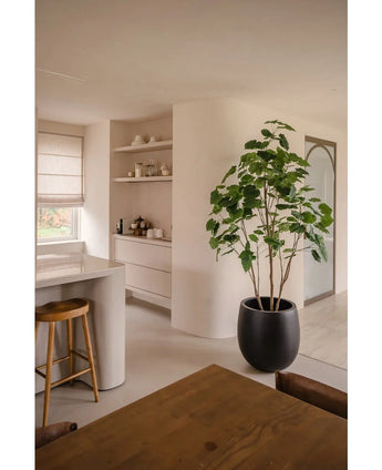 Una cocina y comedor moderna y minimalista en tonos neutros tiene estantes abiertos, una isla curva con un taburete de madera, un juego de comedor de madera y la planta artificial Ficus 210 cm como elegante maceta. La luz natural ilumina la habitación.