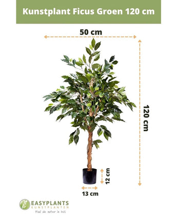 Kunstplant Ficus Groen 120 cm is 120 cm hoog en 50 cm breed, met gedraaide stengels en weelderige bladeren in een zwarte pot (13x12 cm). Een stijlvol nep Ficus accent. Easyplants logo en branding onderaan.