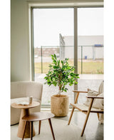 Een gezellige woonkamerhoek met een pluche fauteuil, een houten stoel met kussens, ronde houten bijzettafeltjes en een Kunstplant Ficus Groen 120 cm naast een groot raam met uitzicht op de stad.