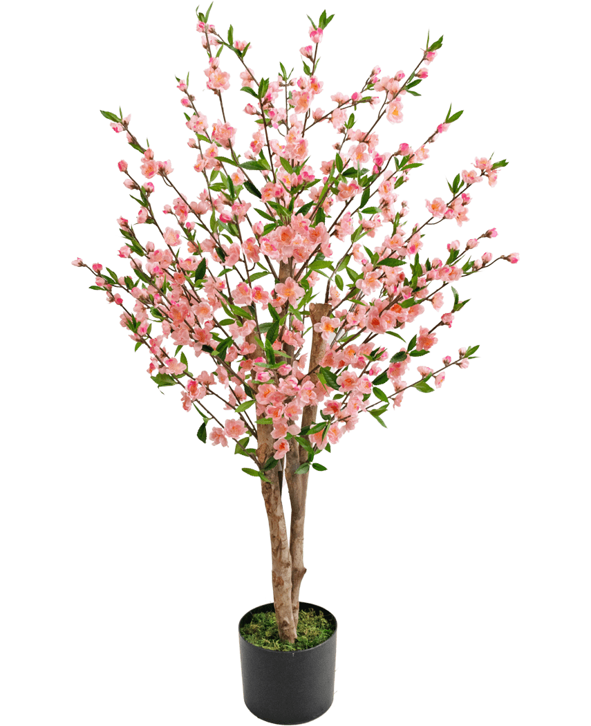 La Planta de Cerezo Artificial en Flor de 120 cm rosa tiene múltiples tallos marrones con flores rosas y hojas verdes, en una maceta negra con musgo verde en la base, sobre un fondo blanco.