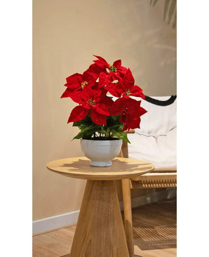 La planta artificial Estrella de Navidad de 44 cm de color rojo, con flores de un rojo vibrante en una maceta blanca, se encuentra sobre una mesa auxiliar redonda de madera junto a una silla decorativa de color beige en una habitación acogedora y suavemente iluminada.