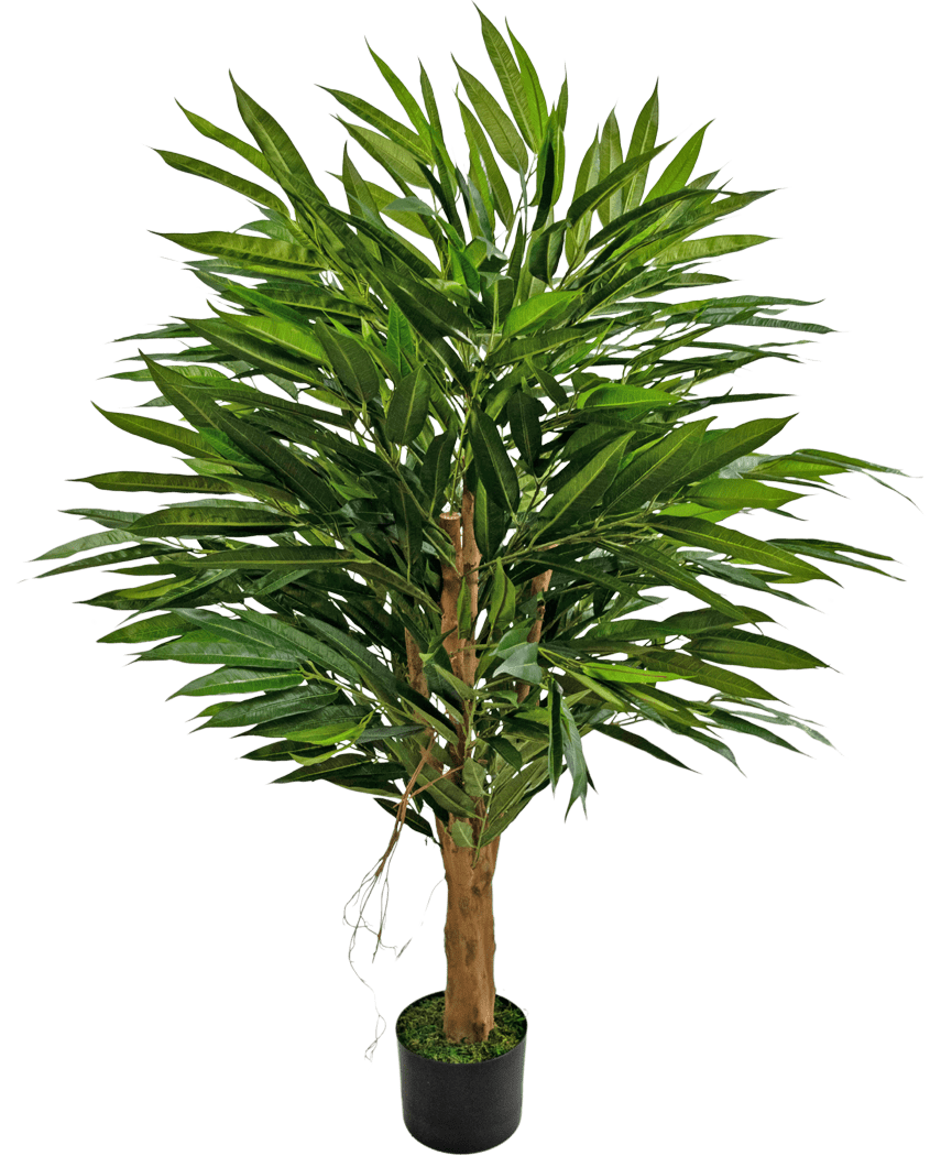 La Planta Artificial Longfolia 120 cm es un árbol artificial alto con esbeltas hojas verdes y tronco marrón, en una maceta negra con musgo verde, sobre un fondo liso blanco.