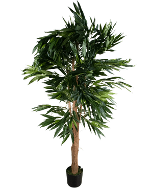 De Kunstplant Longfolia 180 cm is een kunstboom in pot.