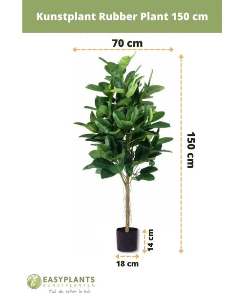 Planta artificial Planta de caucho de 150 cm con hojas de color verde oscuro en una elegante maceta negra. Alto: 150 cm, ancho: 70 cm, diámetro de la maceta: 18 cm, altura de la maceta: 14 cm - ideal para macetas decorativas.