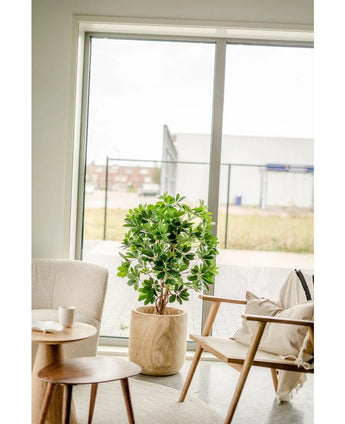 De Kunstplant Schefflera 120 cm staat in een houten bak bij het raam in een lichte, moderne kamer met een houten stoel, kleine tafel, kopje en neutrale decoratie.