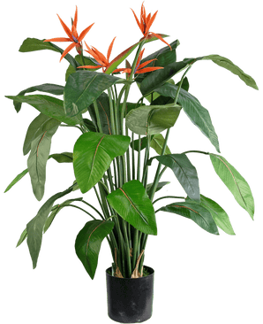 La Planta Artificial Strelitzia 120 cm es un ave del paraíso artificial en maceta con grandes hojas verdes y varias flores anaranjadas en forma de grulla que sobresalen del follaje.
