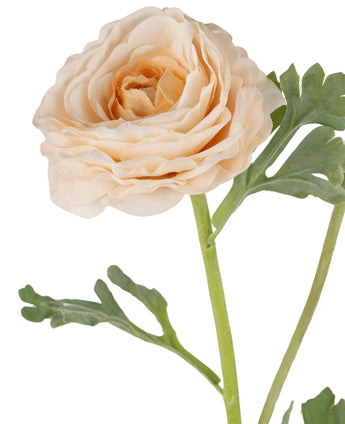 Een close-up van de Kunstranonkel Real Touch Crème 60cm toont de bleke perzik gelaagde bloemblaadjes en groene bladeren op een lichtgroene steel, tegen een witte achtergrond.