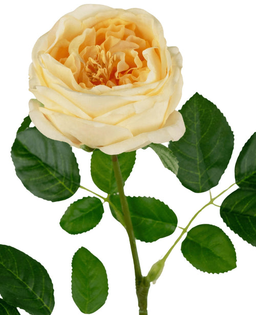 La rosa de jardín artificial "Anniken" Real Touch amarilla de 72 cm tiene una rosa floreciente de color amarillo claro con pétalos en capas y hojas verdes en el tallo, sobre un fondo blanco.