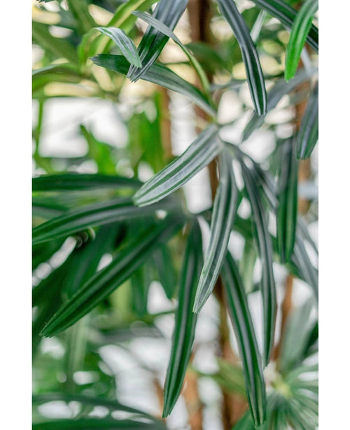 Primer plano de las largas y esbeltas hojas verdes con rayas blancas de la Palmera Artificial de 180 cm. El fondo suavemente descolorido enfatiza la textura y los colores de esta elegante planta artificial.