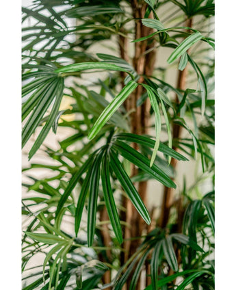 Close-up van levendige groene bladeren en lange, slanke bladeren van de Lady Kunstpalm 210 cm, tegen een zacht vervaagde achtergrond, die de weelderige en tropische uitstraling van deze kunstpalm laat zien.