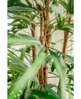 Close-up van de Lady Kunstpalm 210 cm, met de groene, lange smalle bladeren en donzige bruine stengels tegen een zacht vage lichte achtergrond.