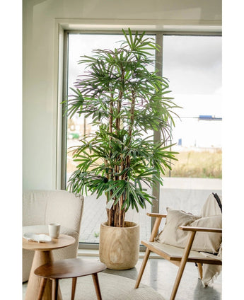Een 210 cm hoge Lady Kunstpalm staat naast een raam in een lichte, moderne woonkamer met een stoel met kussens, een kleine ronde tafel en een neutrale inrichting.
