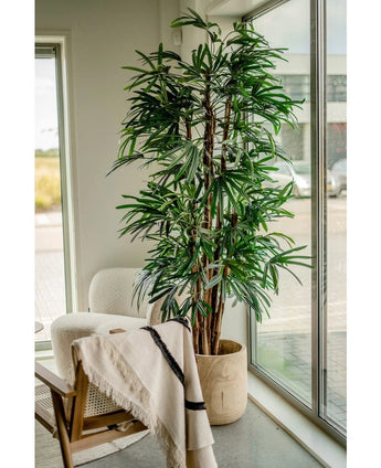 De Lady Kunstpalm 210 cm, met zijn lange, smalle groene bladeren, staat bij grote ramen in een lichte kamer. Een witte fauteuil en een houten stoel gedrapeerd met een lichte deken in de buurt creëren een uitnodigende sfeer.